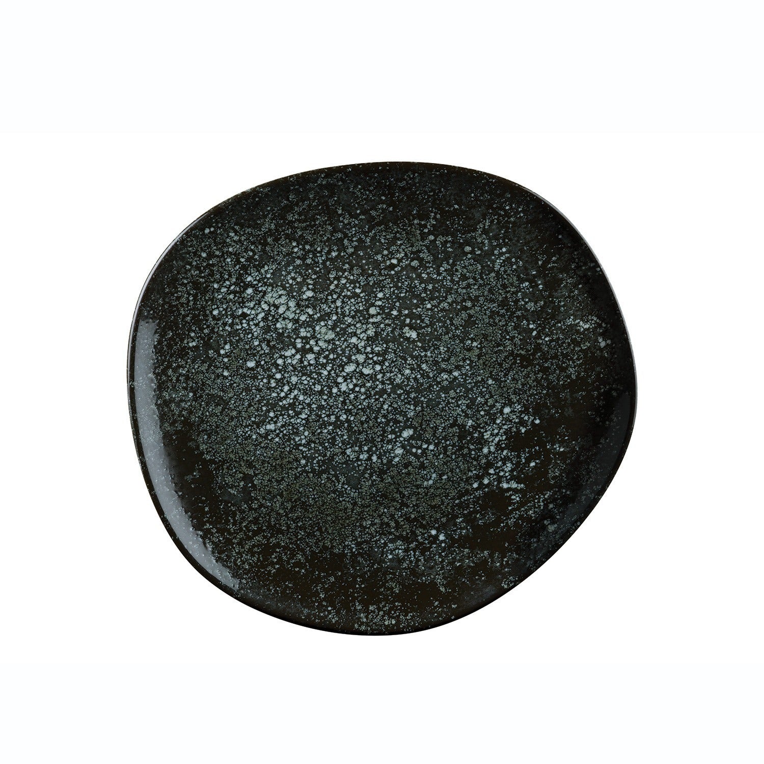 Cosmos - Black Vago - Flat Plate  - 15 cm