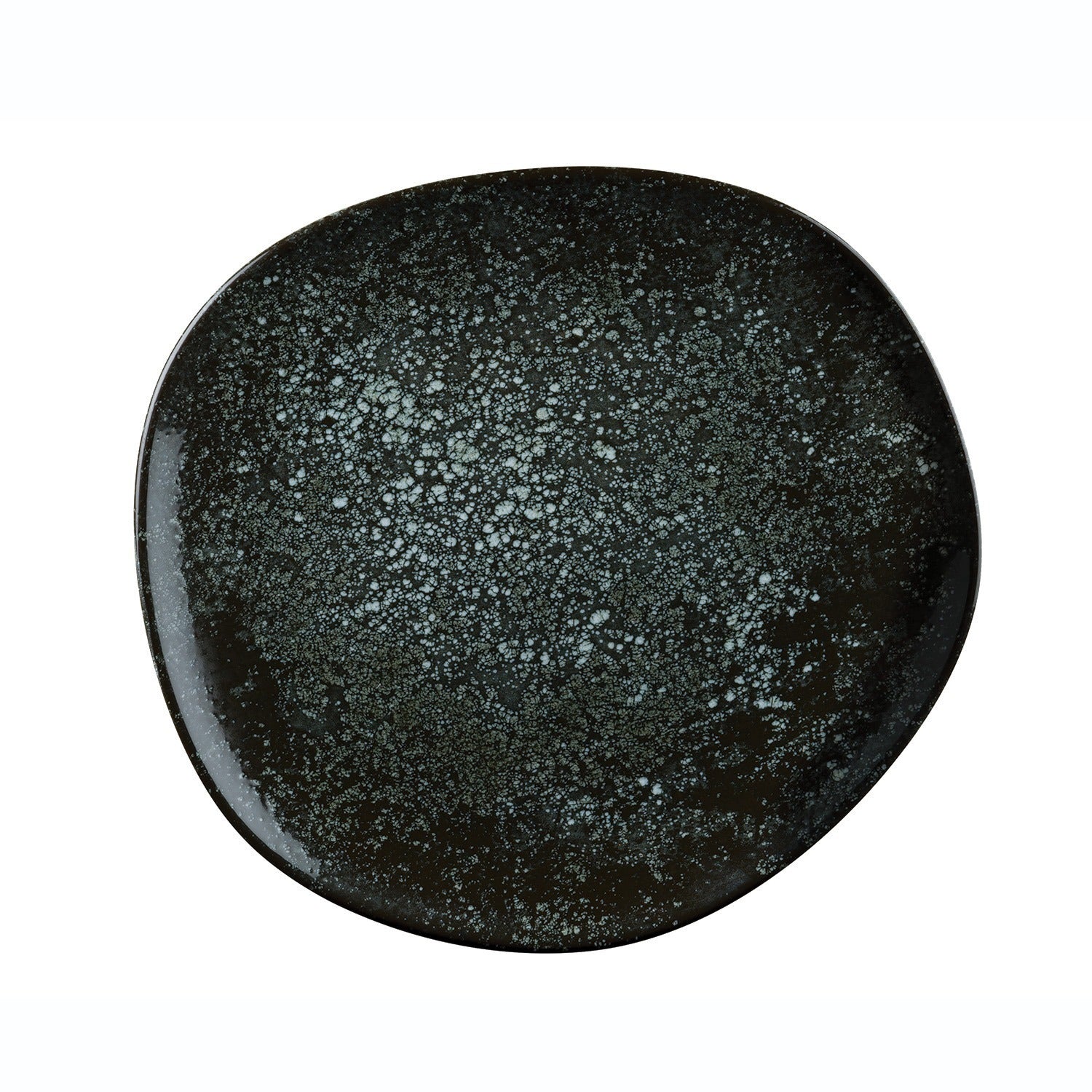 Cosmos - Black Vago - Flat Plate  - 29 cm